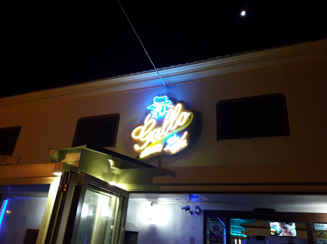 Bar Gallo Blu