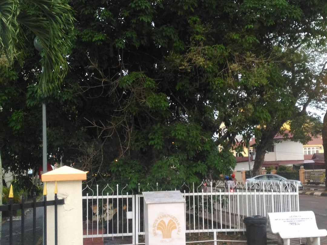 Oldest Rubber Tree-瓜拉江沙必去景点