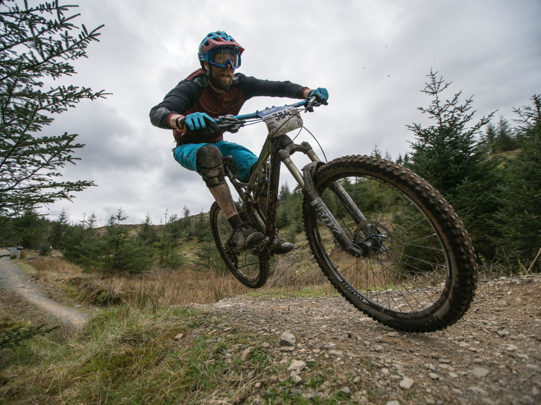 Grizedale Mountain Bikes景点图片