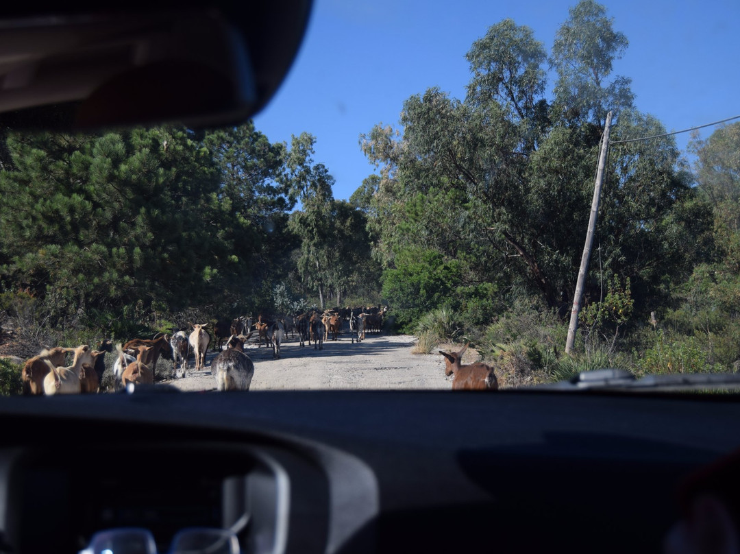 Sur Tour-加的斯市必去景点