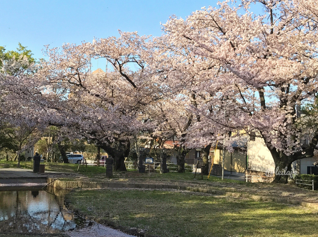 Statue of Big Raccoon Dog