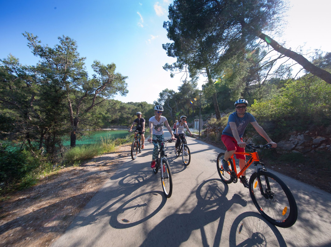Natural Hvar Tours景点图片