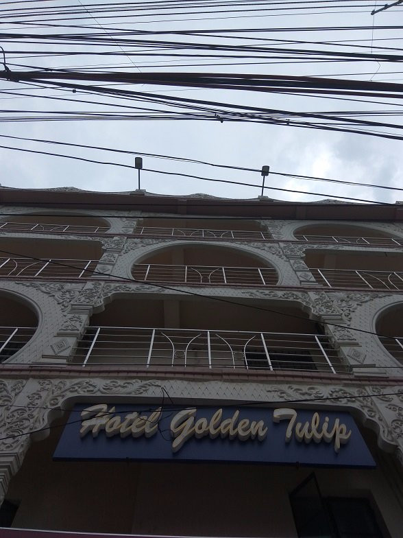 金色郁金香酒店