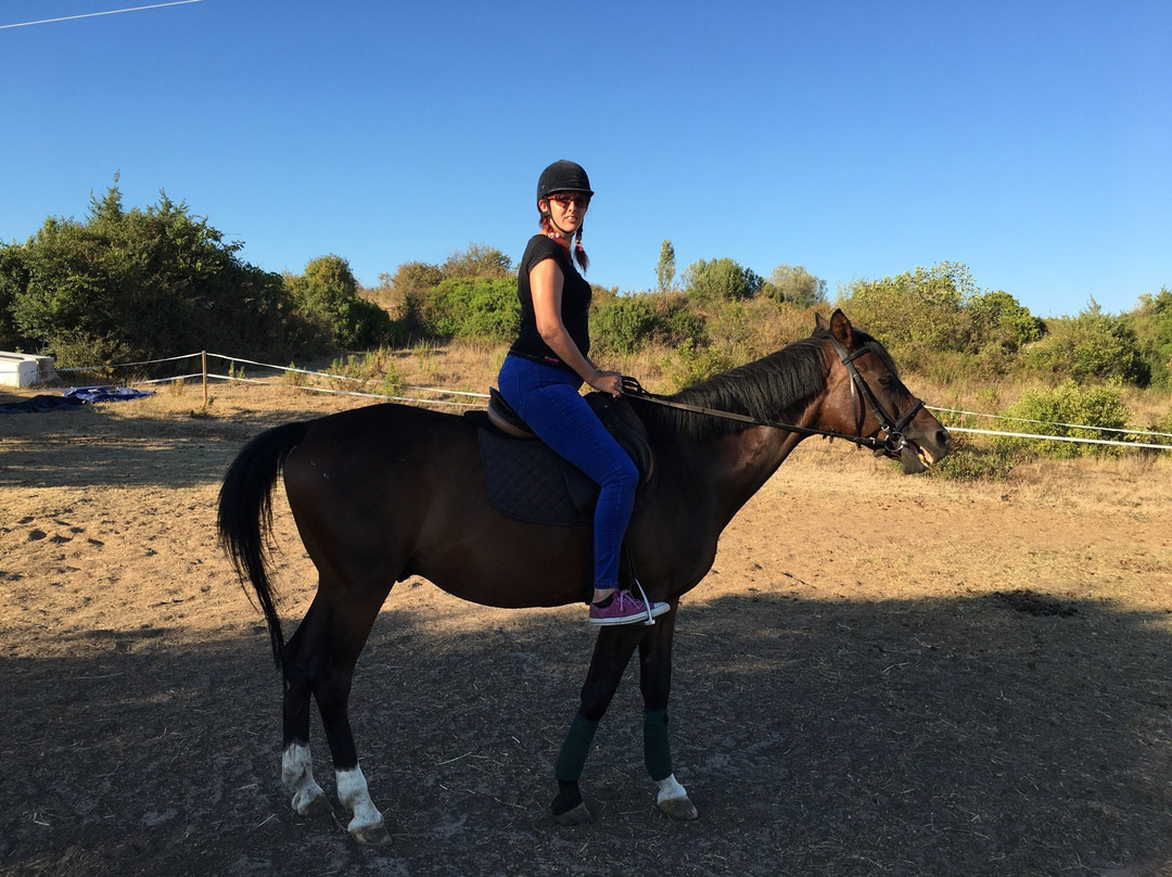 Horse Riding Zadar-扎达尔必去景点