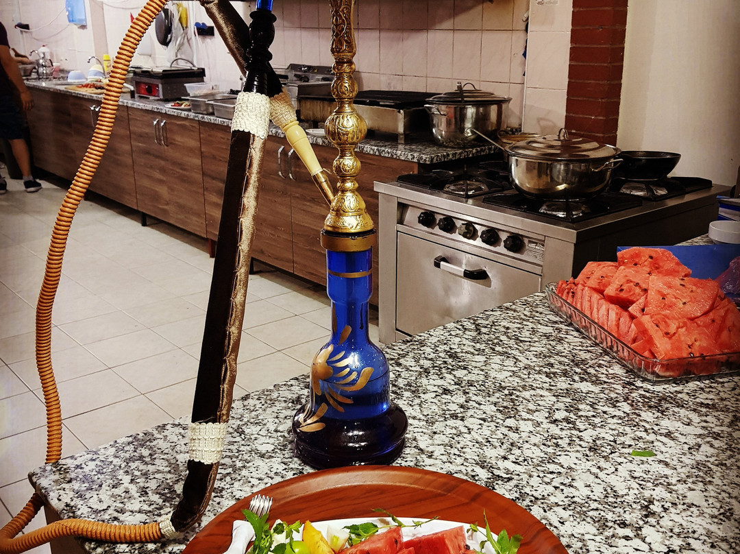 Evlidağ Mesire Alani