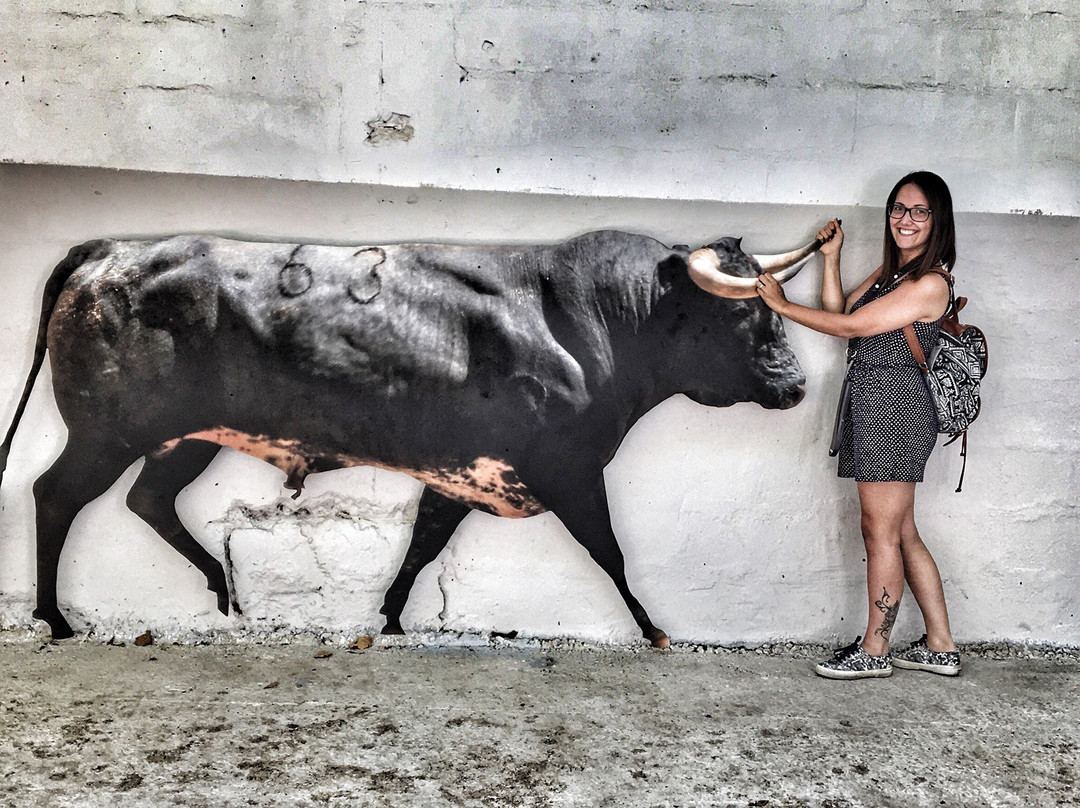 Plaza de Toros de Pamplona-潘普洛纳必去景点