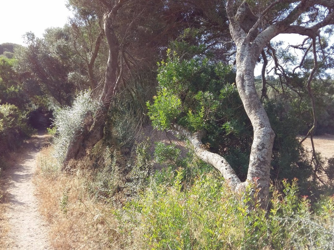 Barranc d'Algendar-Ferreries必去景点