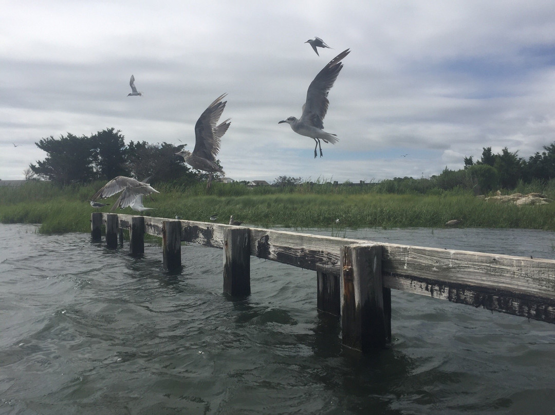 Ecobay Kayak Adventures-Ocean View必去景点