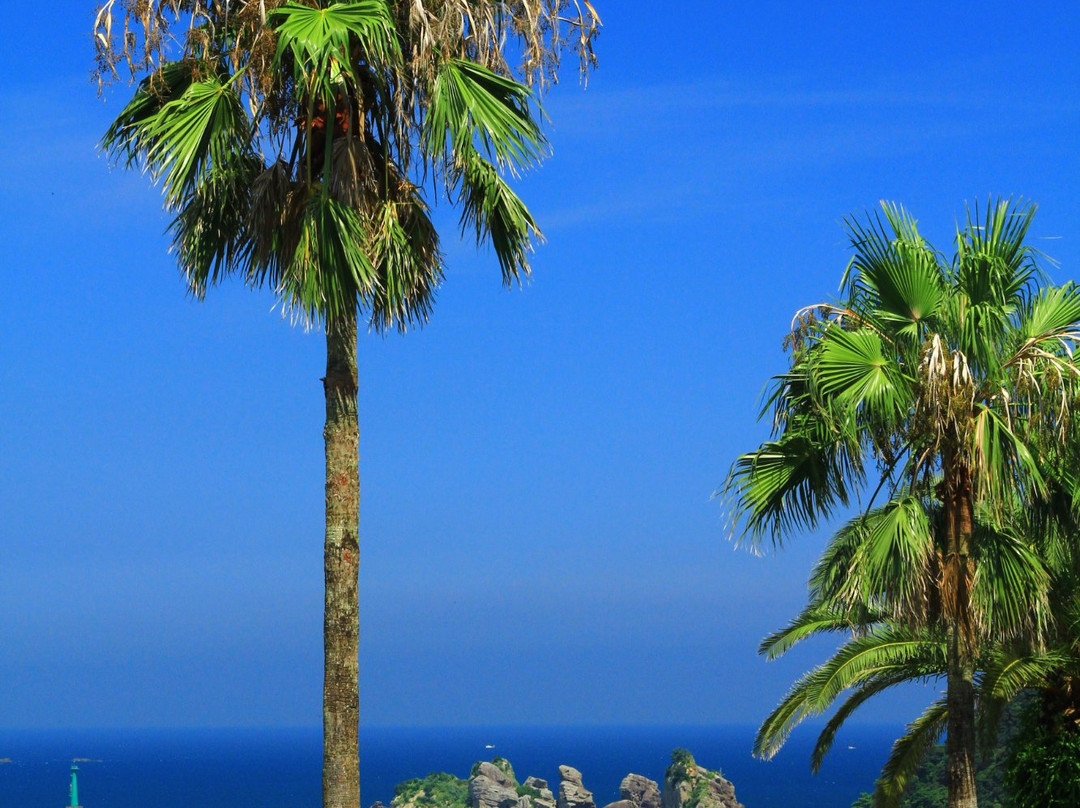 Nichinan Coast Seminational Park-鹿屋市必去景点