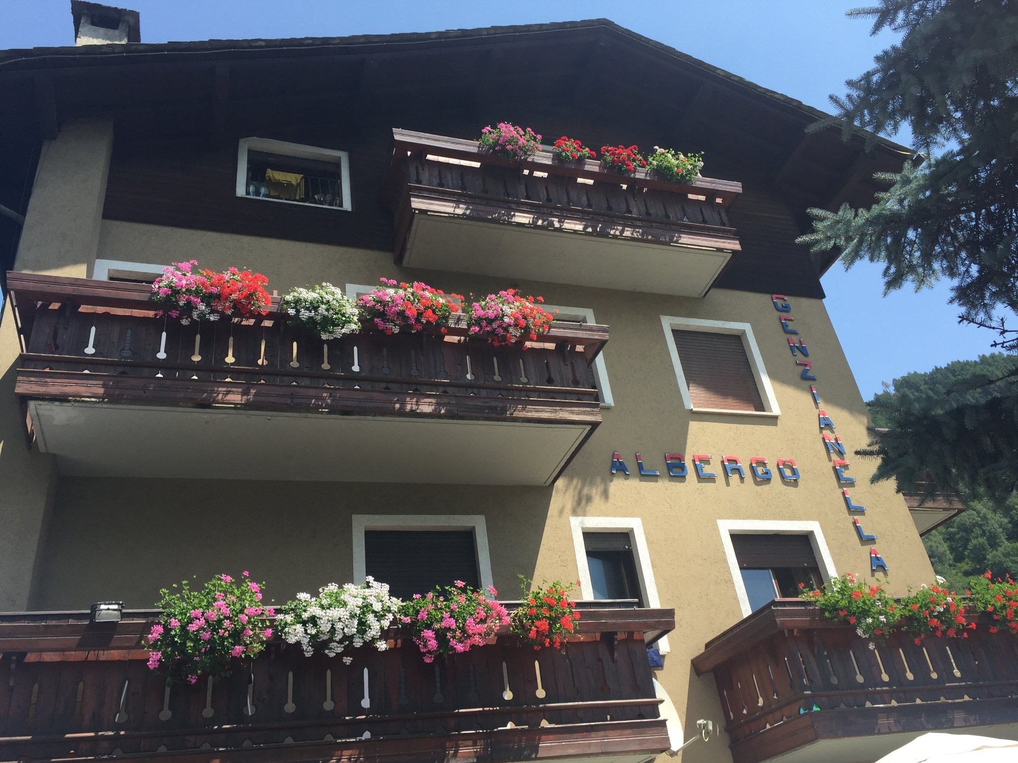 Hotel Genzianella-官方