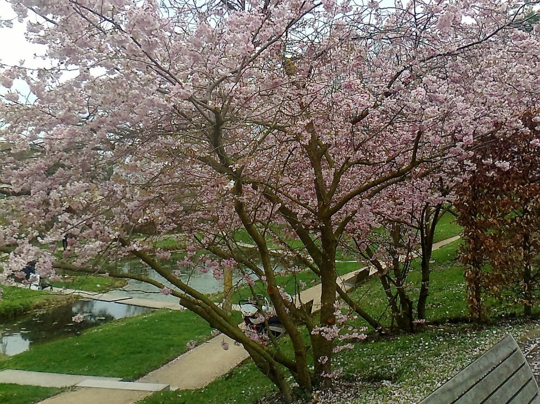 Parc de Cluny景点图片