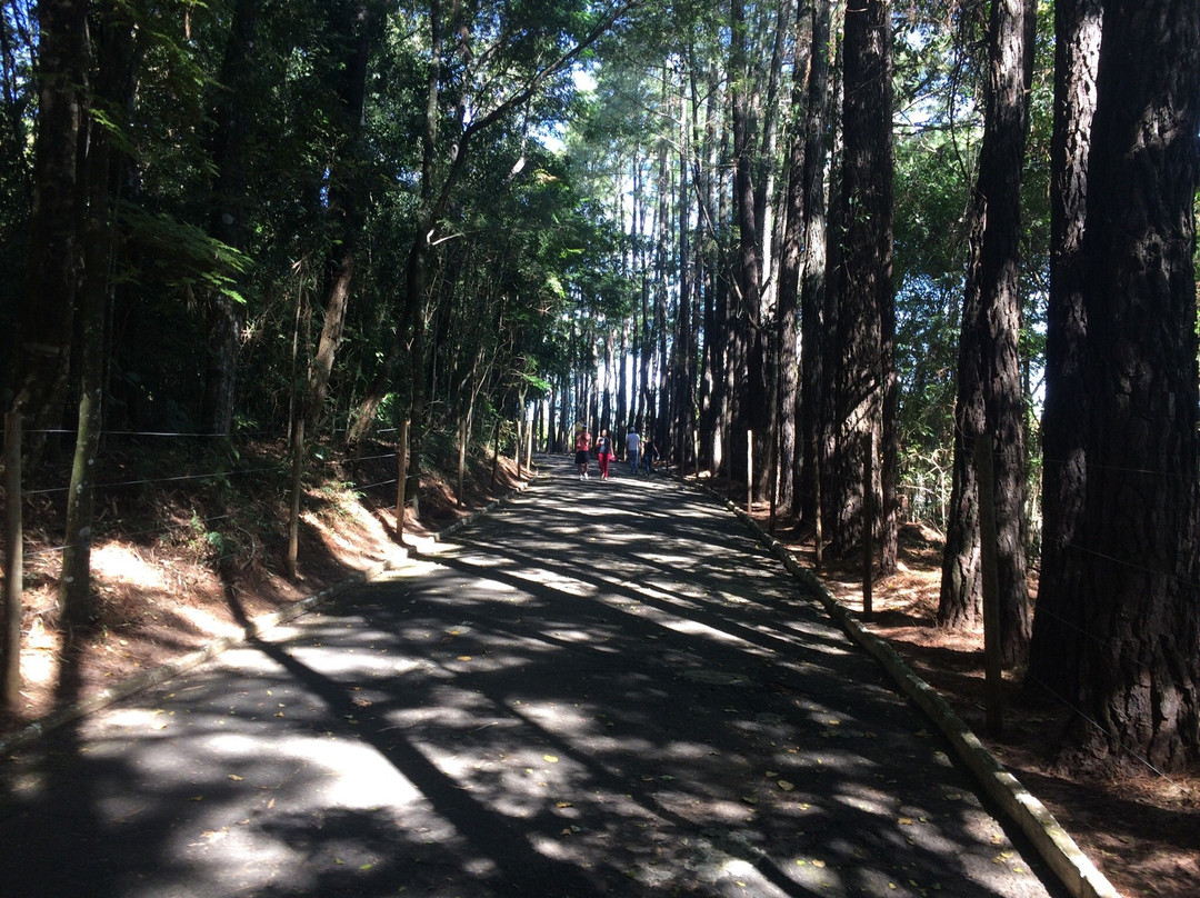 Bosque Municipal Rangel Pietraroia景点图片