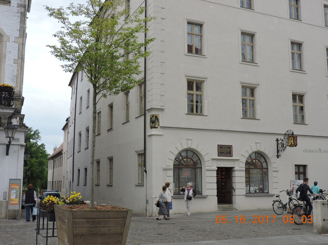 Cranach-Stiftung-威滕伯格必去景点