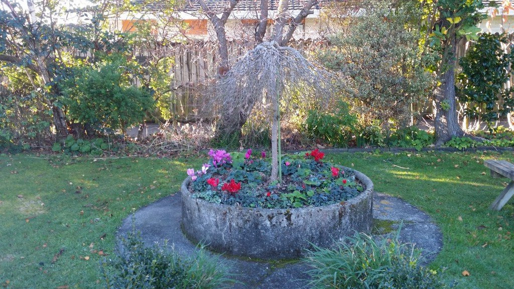 Ariki Lodge Motel主图