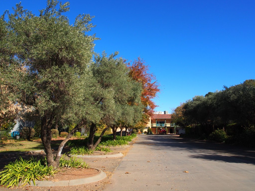 De Bortoli Wines Bilbul Cellar Door-Bilbul必去景点