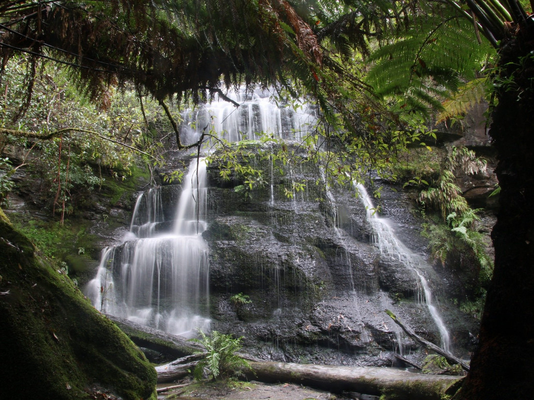 Henderson Falls-洛恩必去景点