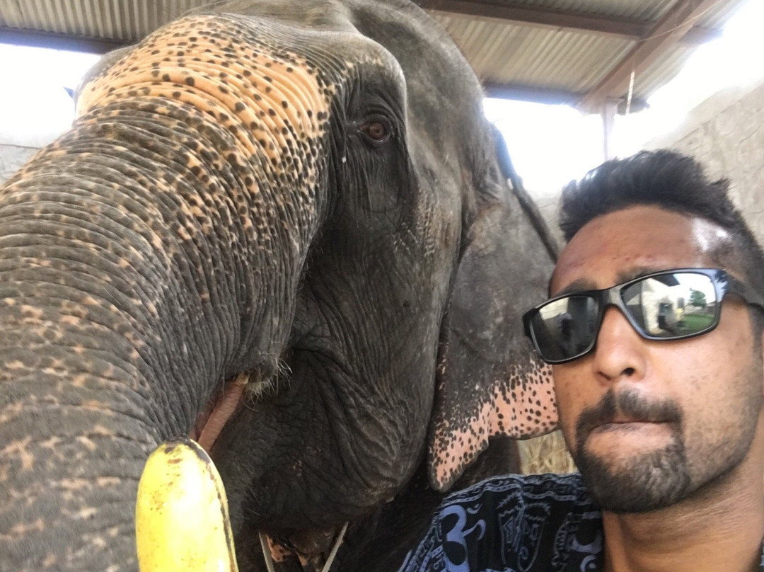 EleJaipur-斋蒲尔必去景点