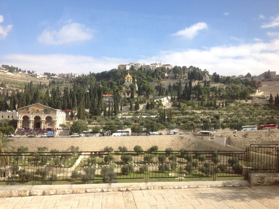 Nitzan Travel Service-Gedera必去景点