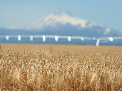 Mecca Grade Estate Malt & Tap Room-Madras必去景点