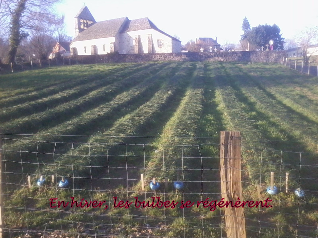 Safran de Murols Ferme de Murols-Murols必去景点