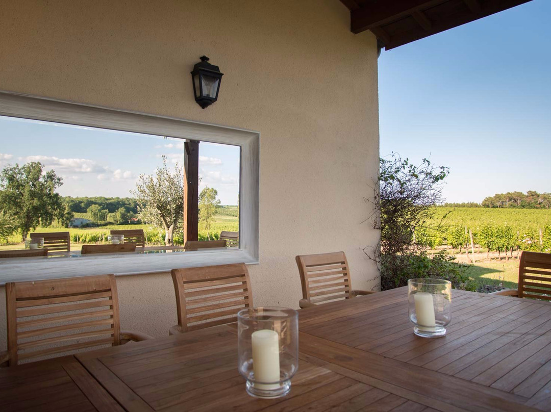 Domaine du Grand Mayne景点图片