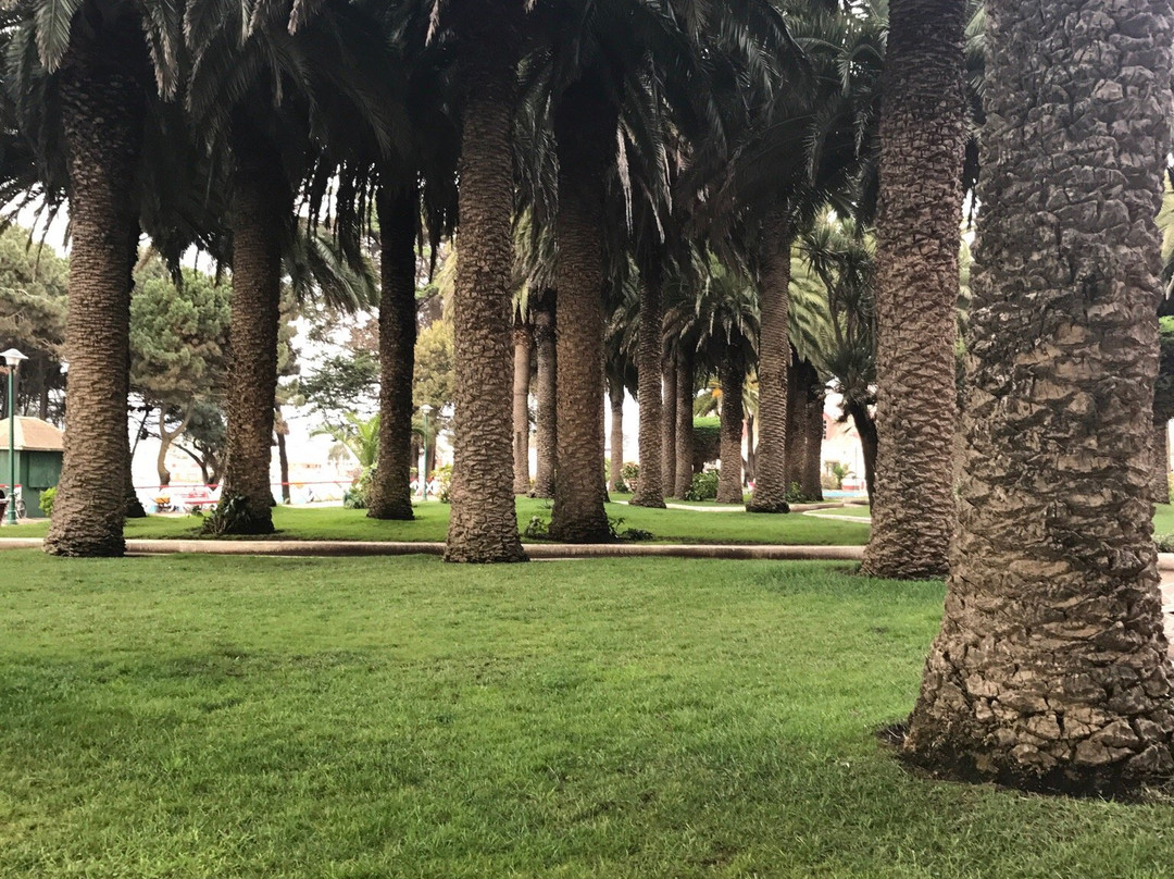 Parque Ross-皮钦勒姆必去景点