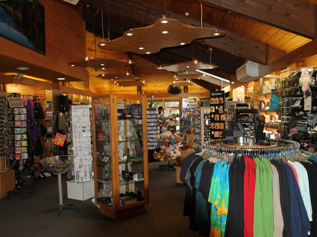 Fox Glacier Guiding Gift Shop景点图片
