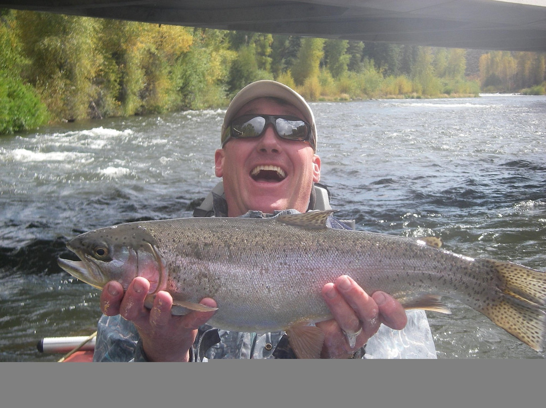 Harcourt Fly Fishing 3G-New Castle必去景点