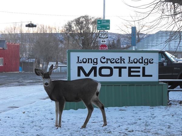 Long Creek Lodge-官方