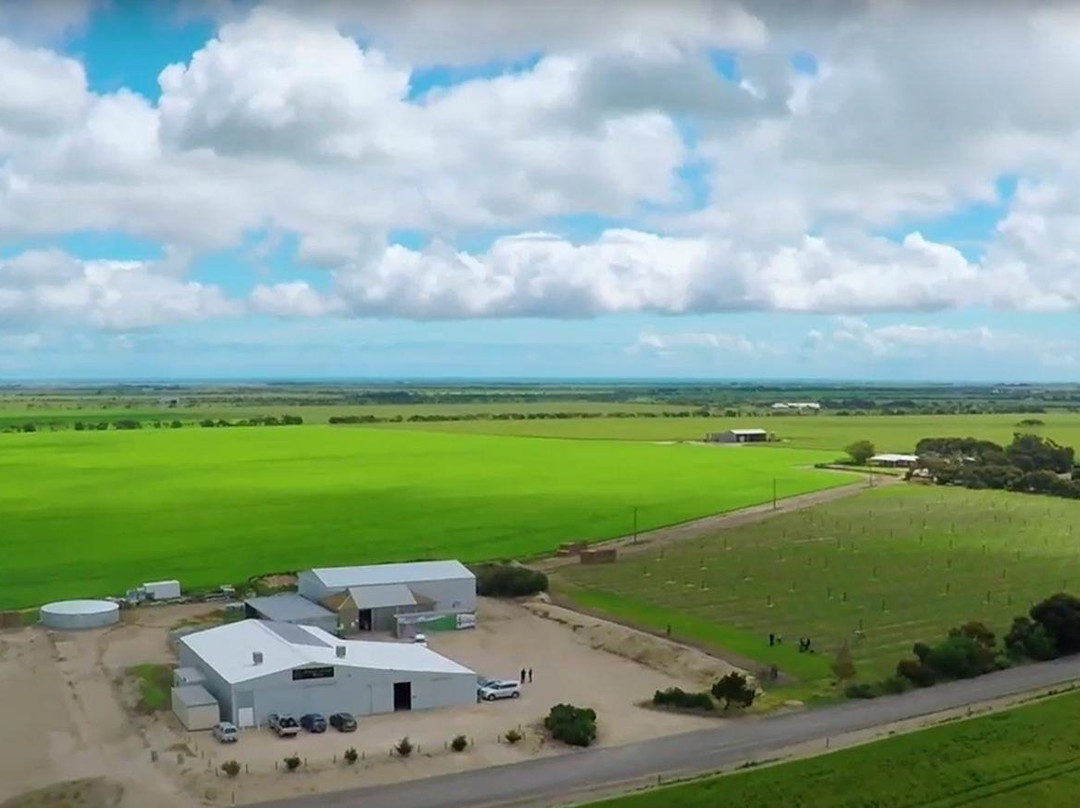 Barley Stacks Wines-Maitland必去景点