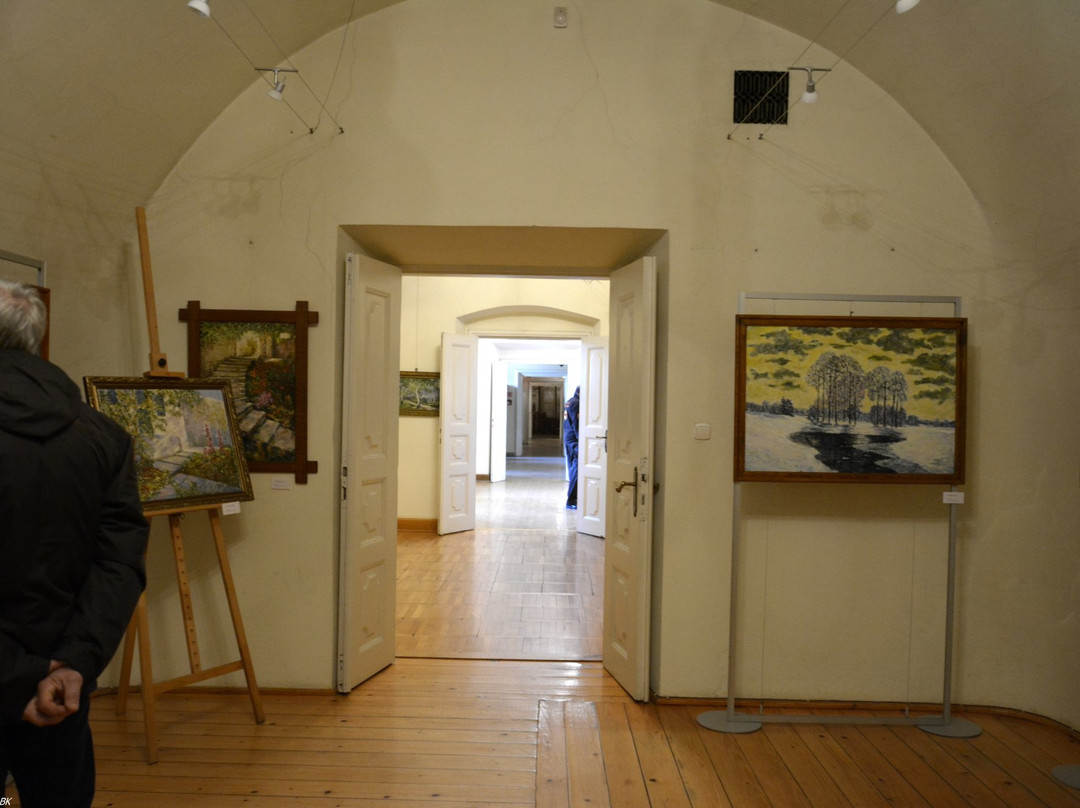 Zaglebie Museum景点图片