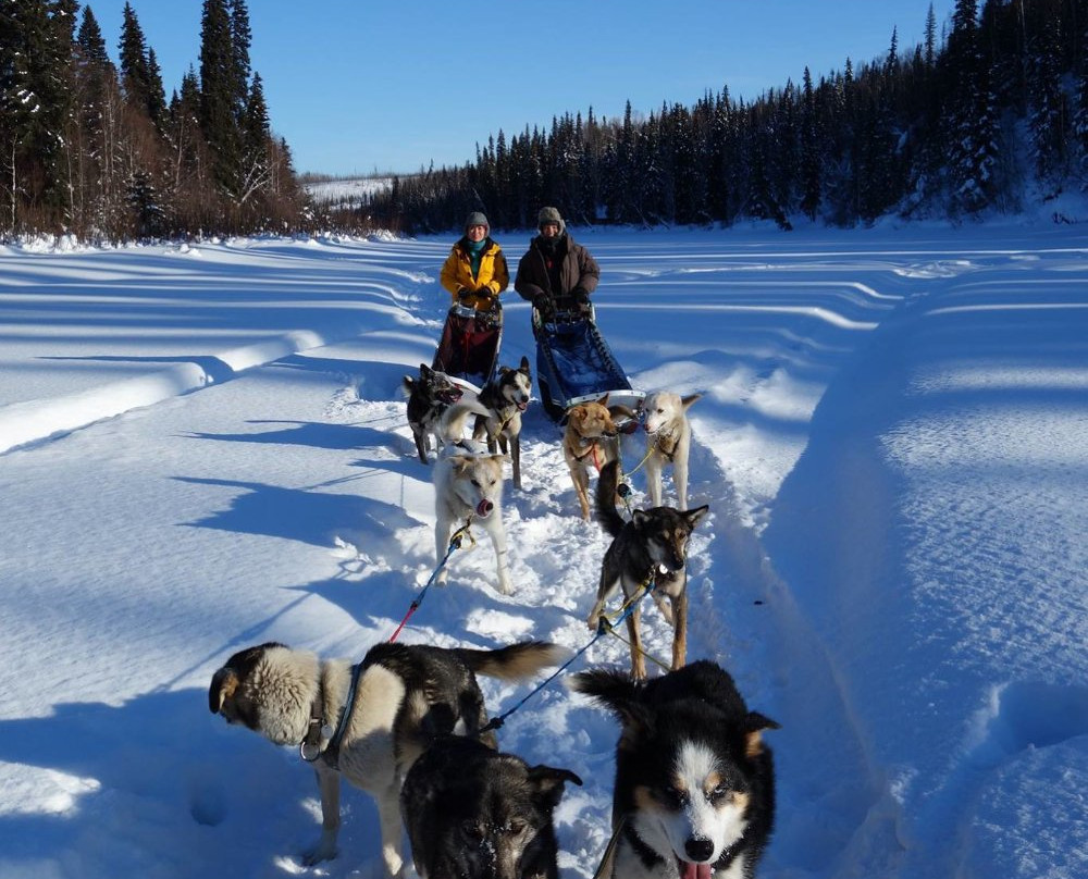 Smokin' Ace Kennels-Two Rivers必去景点