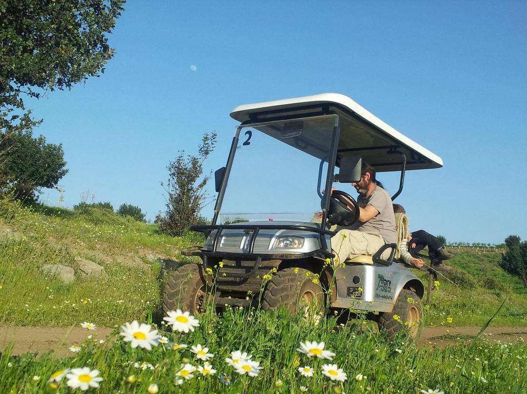 Yarok Bashvil-Shadmot Dvora必去景点