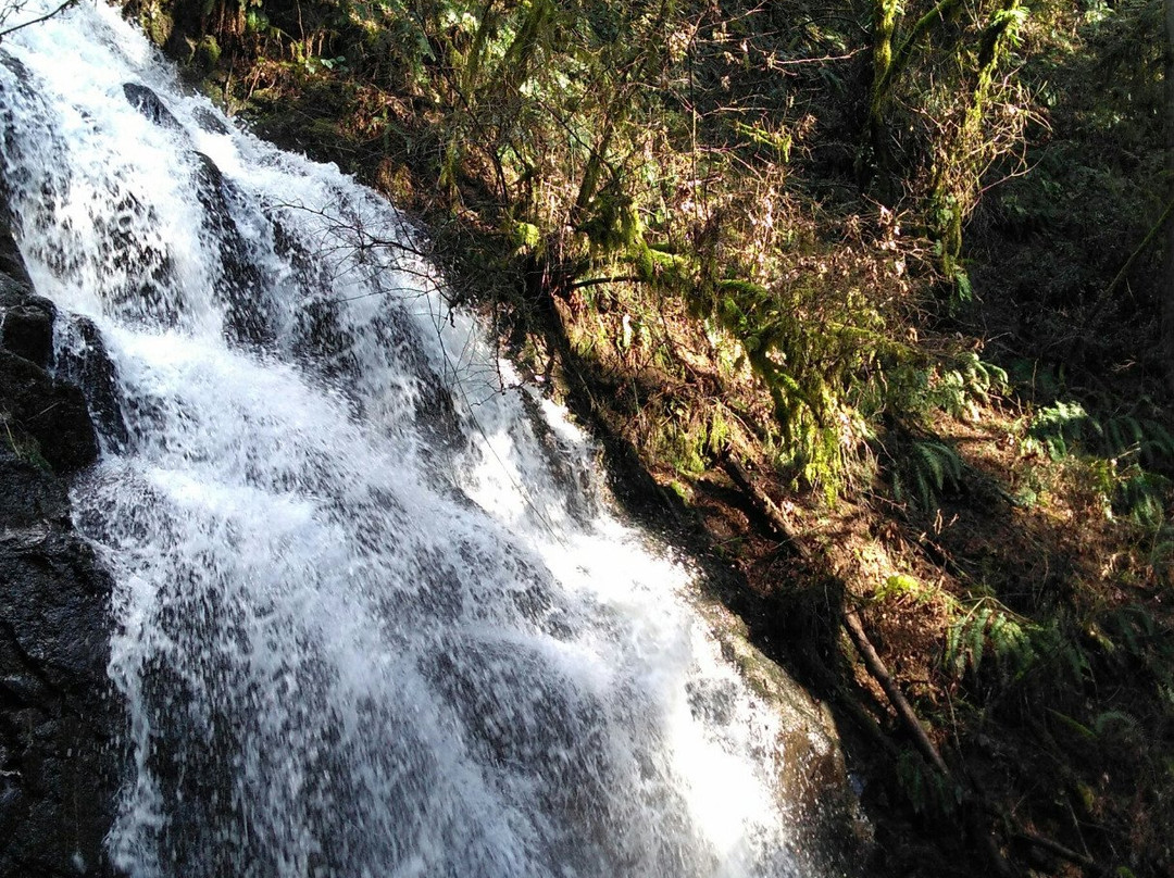 Lacamas Park Trail-Camas必去景点