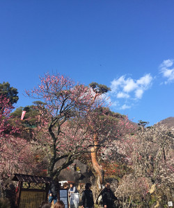 Furoen景点门票图片