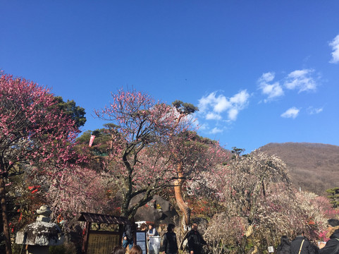 Furoen-甲府市必去景点