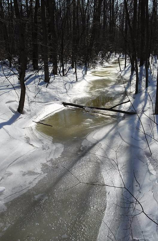 Bois de l'Équerre-拉瓦尔必去景点