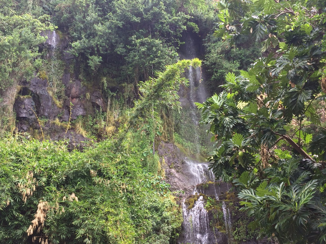 Grotte des Premiers Français景点图片