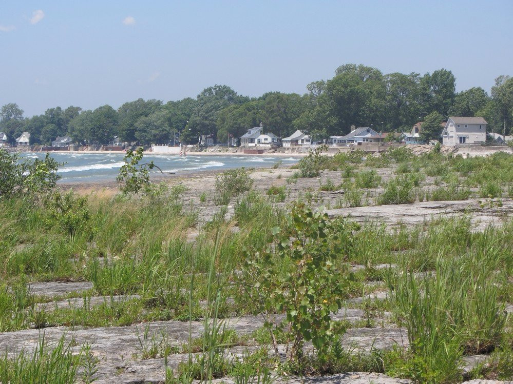 Morgan's Point Conservation Area-Wainfleet必去景点