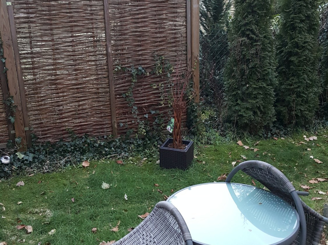 Rieger Landgasthof主图