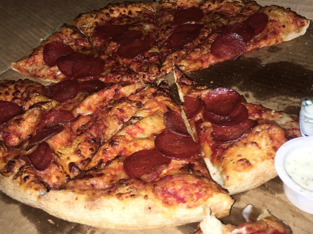 Domino's Pizza - Wylde Green