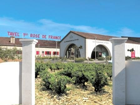Les Vignerons de Tavel景点图片