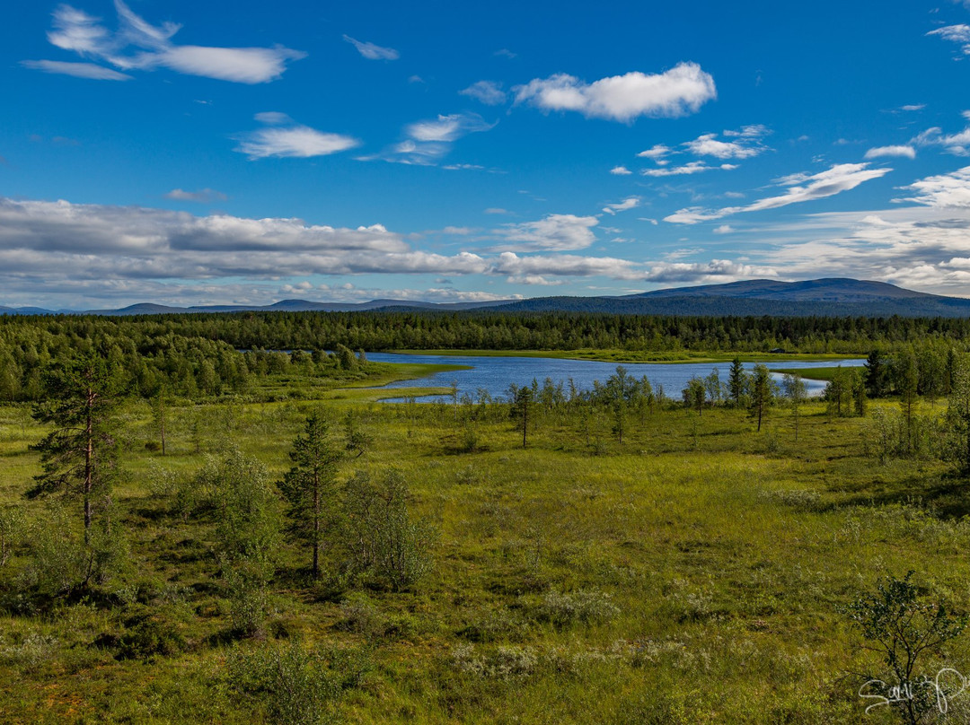 Yrjo Kokko bird watching tower