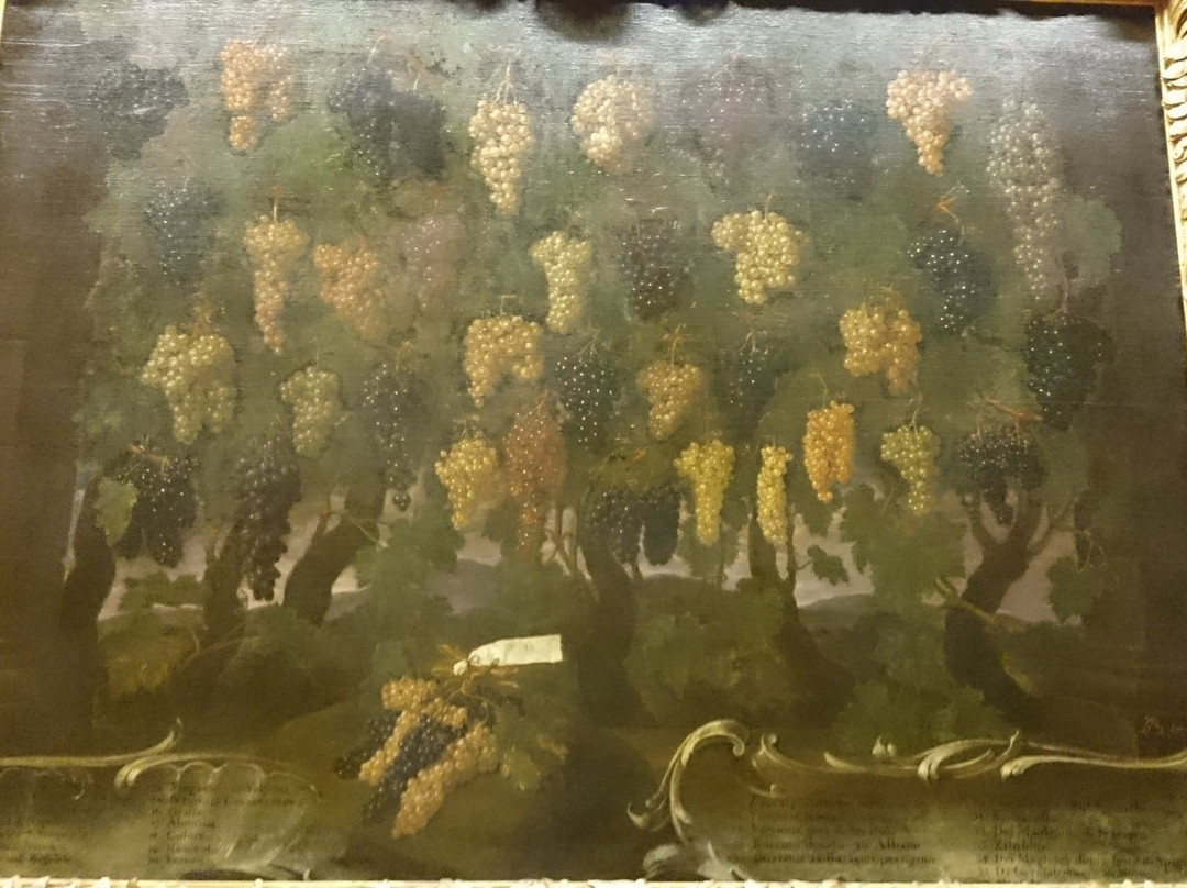 Museo della Natura Morta-波焦阿卡亚诺必去景点