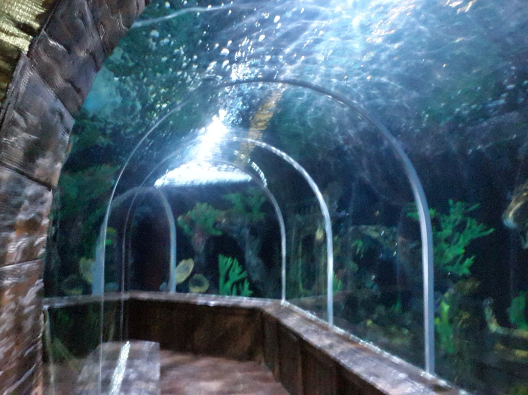 Aquamundo Sambil Santo Domingo-圣多明哥必去景点