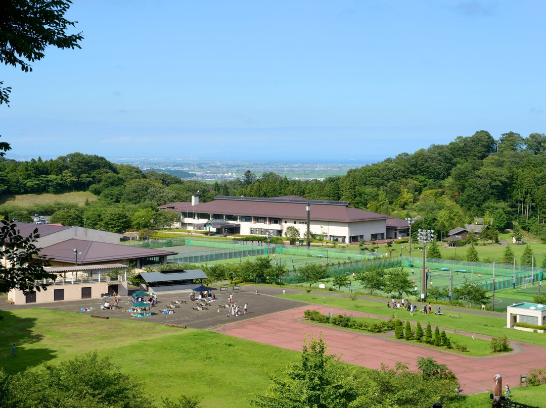 Tokyo Dai-ichi Hotel Iwanuma Resort主图