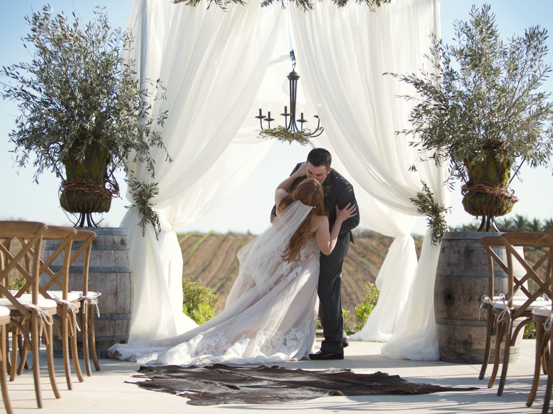 Toca Madera Winery-马德拉必去景点