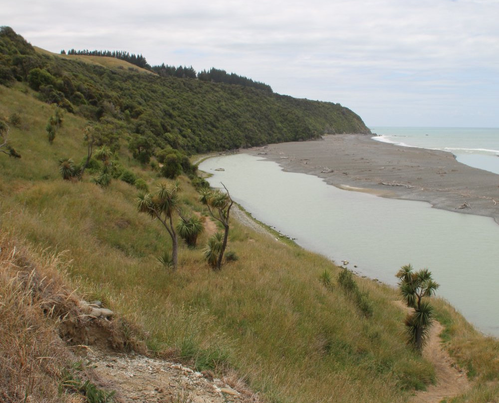 Manuka Bay Track景点图片