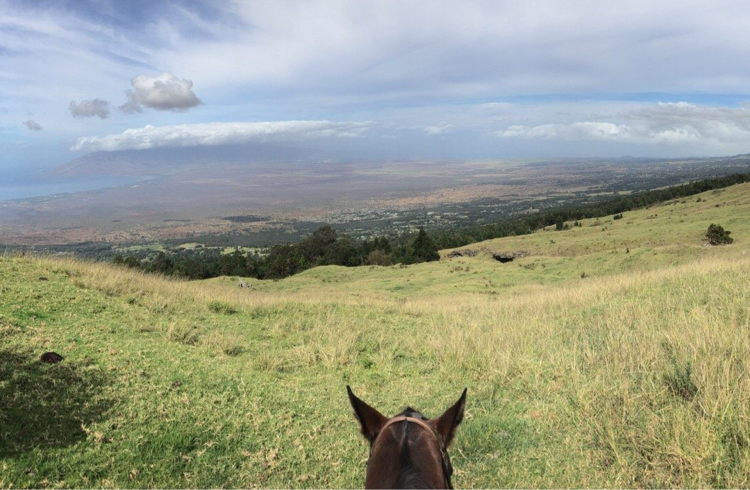 Thompson Ranch Riding Stables-库拉必去景点