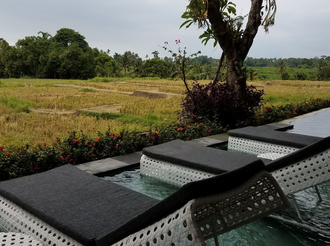 Wadari Retreat Villa Ubud主图